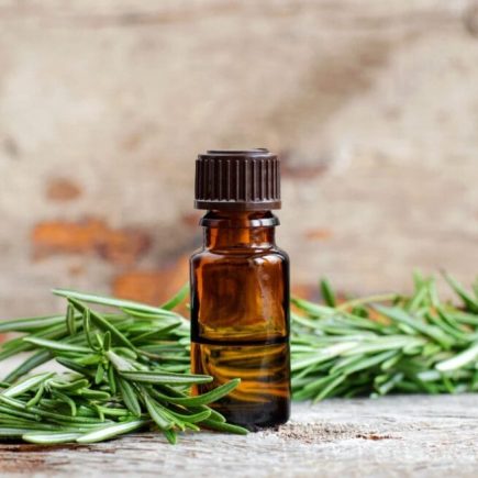 Obat Alami Ketika Mengalami Sakit Kepala Paling Efektif