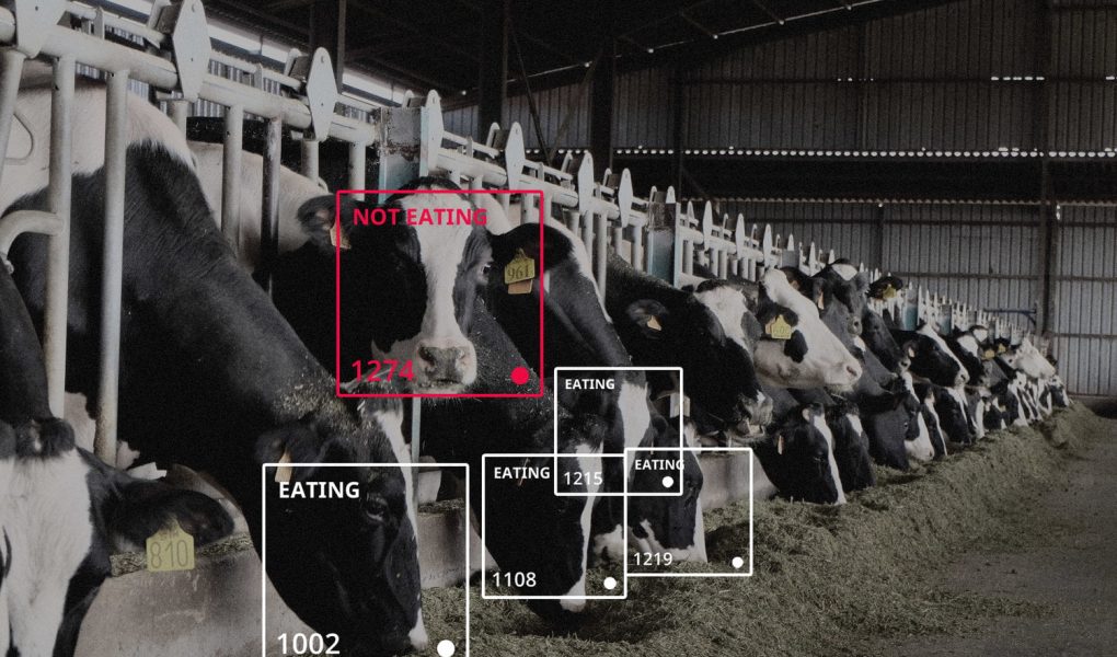 Perkembangan Teknologi Pertanian & Peternakan Lebih Modern