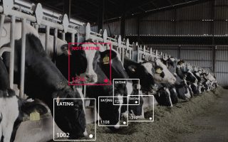 Perkembangan Teknologi Pertanian & Peternakan Lebih Modern